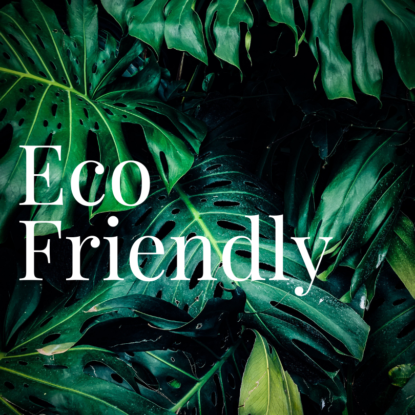 Eco Friendly business